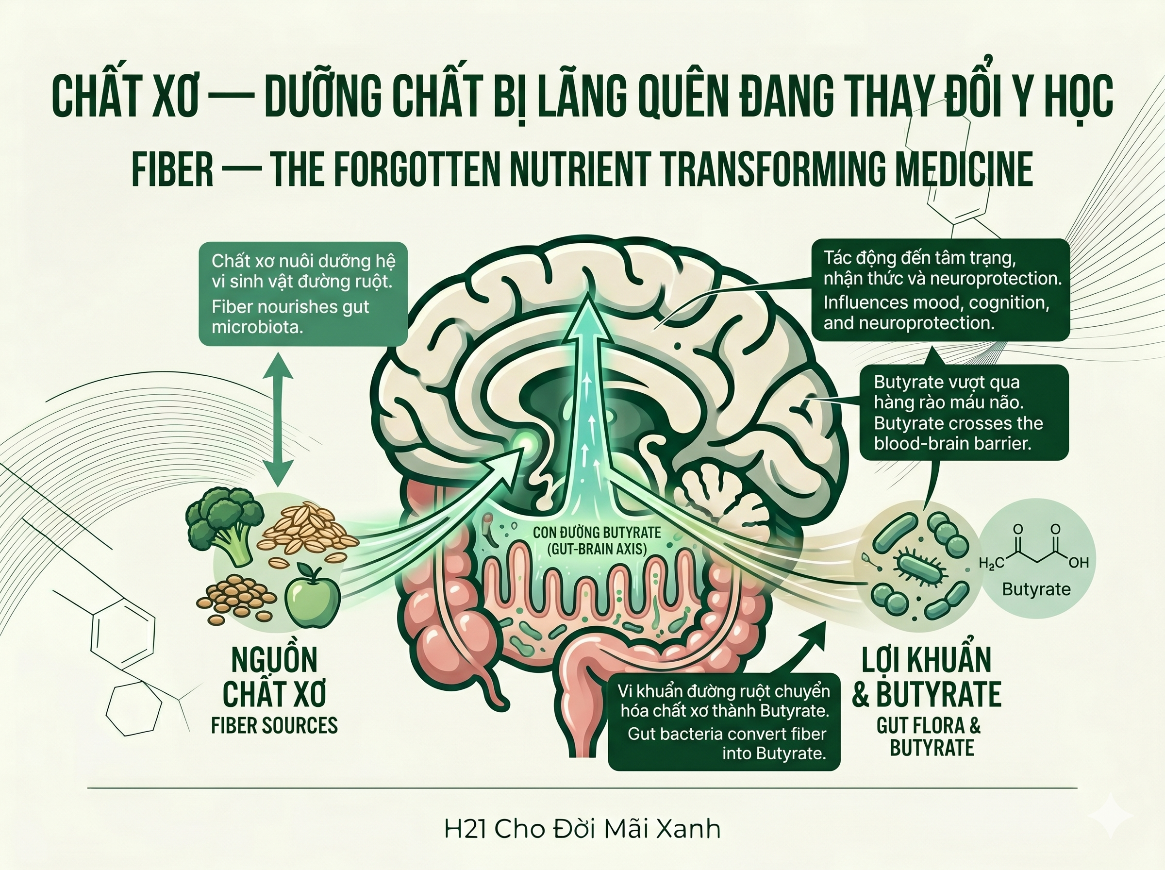 Chất Xơ & Sức Khỏe Đường Ruột -- H21 Cho Đời Mãi Xanh