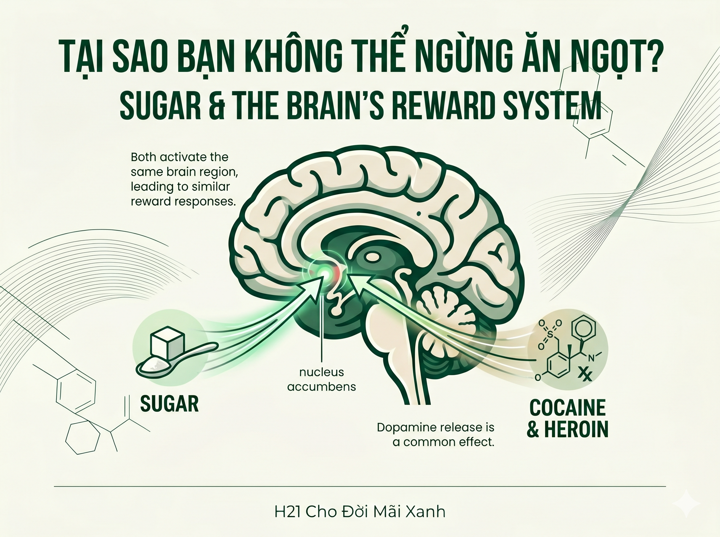 Não Bộ & Nghiện Ngọt -- H21 Cho Đời Mãi Xanh